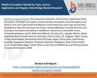 mobile encryption market by type source