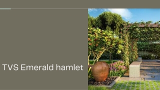 tvs emerald hamlet