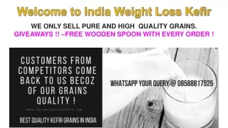 Kefir Grains Online in India