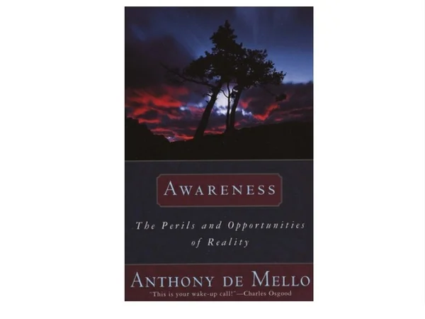 ^READ NOW> Awareness: The Perils and Opportunities of Reality Book of  bestseller