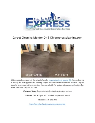 Carpet Cleaning Mentor Oh