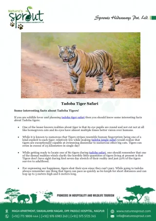 Tadoba Tiger Safari - Bodhivann Jungle Camp