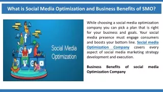 what is social media optimization and business