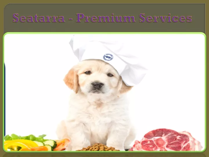 seatarra premium services