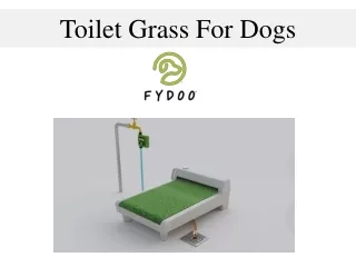 Toilet Grass For Dogs