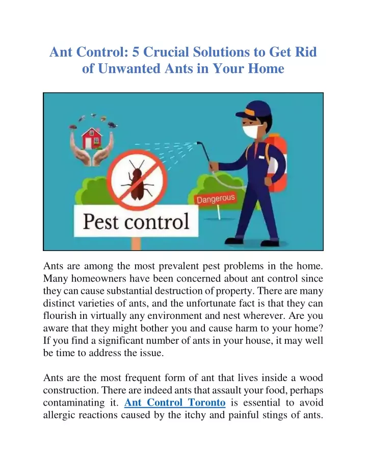 ant control 5 crucial solutions