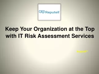 IT Risk Assessment Services