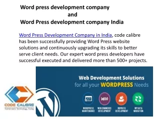 Word press development company