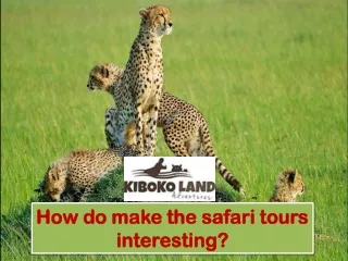 How do make the safari tours interesting