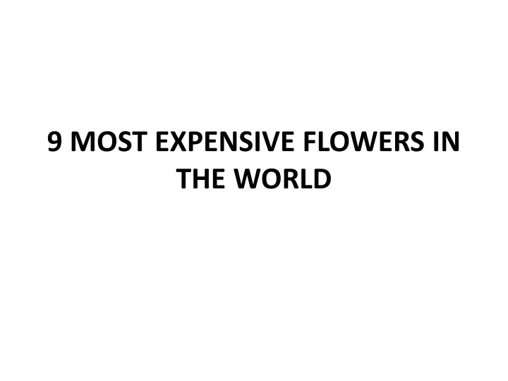 9 most expensive flowers in the world