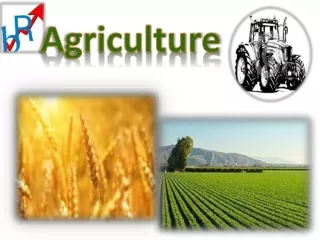 Best Quality Agriculture Products manufacturer