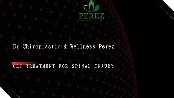 dr chiropractic wellness perez