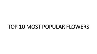 TOP 10 MOST POPULAR FLOWERS