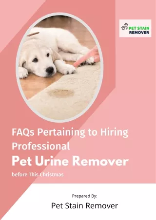 FAQs Pertaining to Hiring Professional Pet Urine Remover before This Christmas