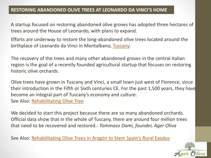 restoring abandoned olive trees at leonardo