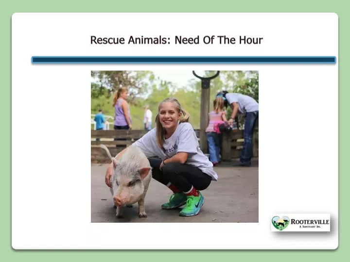 rescue animals need of t he hour