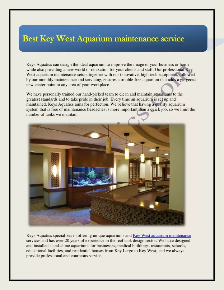 best key west aquarium maintenance service best