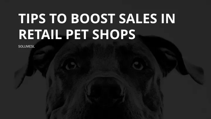 tips to boost sales in retail pet shops