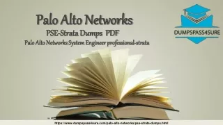 palo alto networks