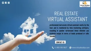 Virtual Assistant Real Estate Services