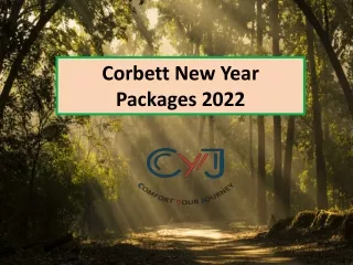 Jim Corbett New Year Packages  - Jim Corbett New Year Packages 2022