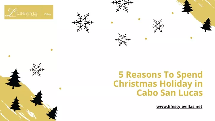 5 reasons to spend christmas holiday in cabo