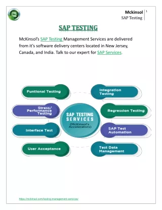 mcki n sol sap testing