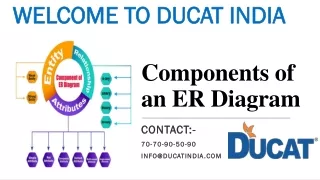 components of an er diagram