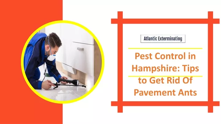 pest control in hampshire tips