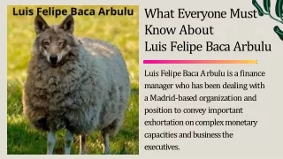 What Everyone Must  Know About Luis Felipe Baca Arbulu