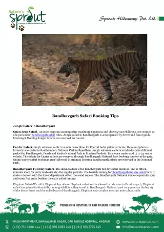 Bandhavgarh Safari Booking Tips - Nature's Sprout