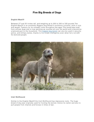 five big breeds of dogs