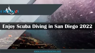 Enjoy Scuba Diving in San Diego 2022