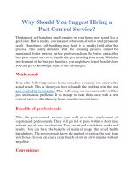 Why should you suggest hiring a pest control service - slide 1