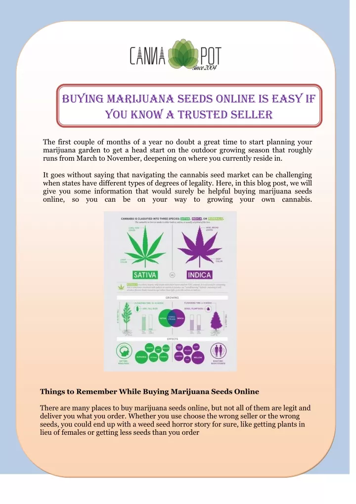 buying marijuana seeds online is easy if you know