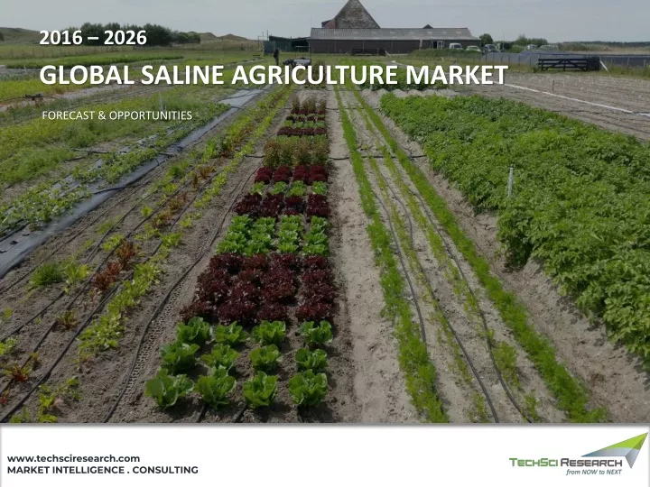 2016 2026 global saline agriculture market