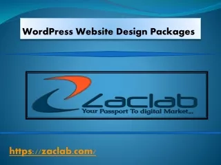 Wordpress Website  Design Packages