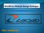 Wordpress Website  Design Packages - slide 1