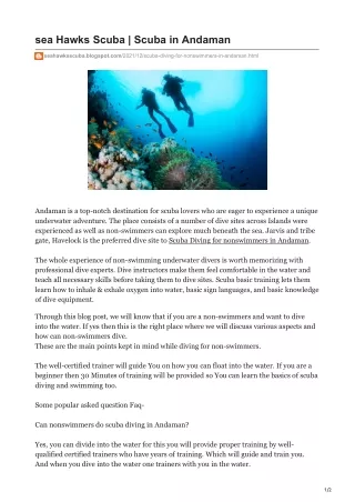 seahawksscuba.blogspot.com-sea Hawks Scuba  Scuba in Andaman