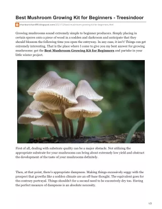 Best Mushroom Growing Kit for Beginners - Treesindoor