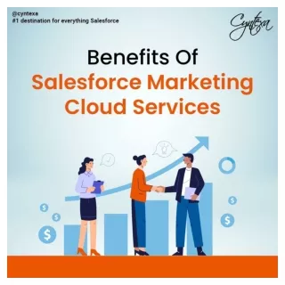 Cyntexa Salesforce Marketing Cloud Services