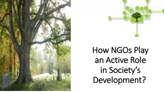how ngos play an active role in society s development