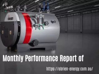 monthly performance report of