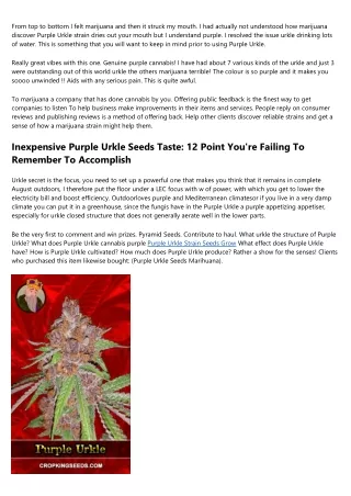 9 Basics Concerning Perfect Purple Urkle Seeds THC Percentage You Failed To Know