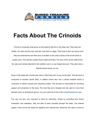 facts about the crinoids