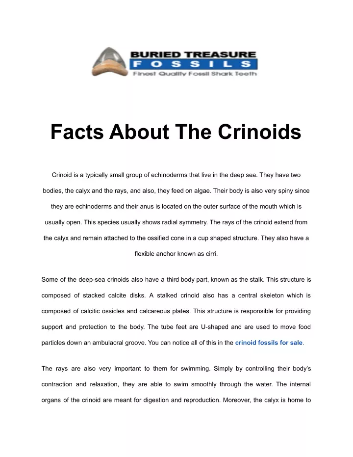 facts about the crinoids