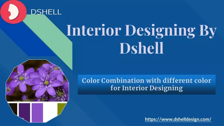 interior designing by dshell