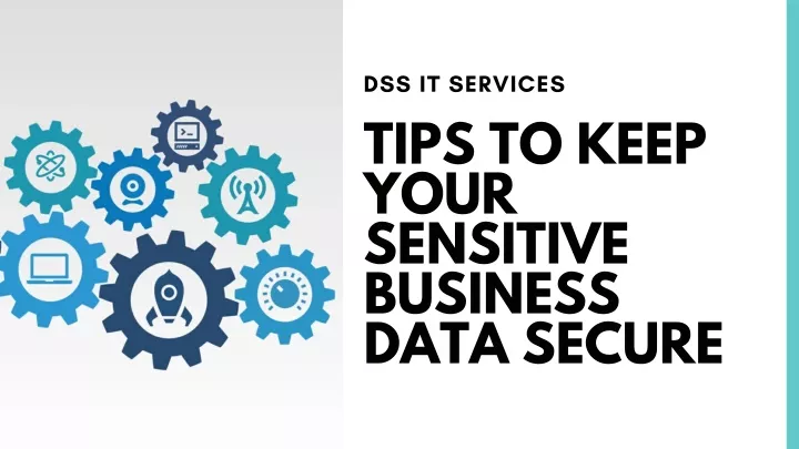 dss it services