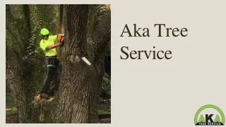 AKA Tree Service providing ISA certified Tree Removal Service in Atlanta, GA
