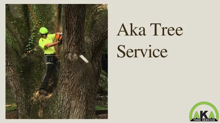 aka tree service